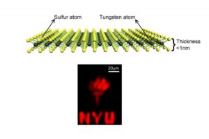 At just one atom thick, tungsten disulfide allows energy to switch off and on, but it also absorbs and emits light, which could find applications in optoelectronics, sensing, and flexible electronics. The NYU logo shows the monolayer material emitting light.