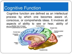 cognitive-functions