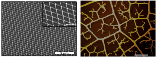 SEM – model of a metallic nano-network with periodic arrangement ( left) and visual representation of a fractal pattern (right). Credit: M. Giersig/HZB