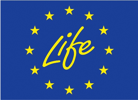 ganske enkelt Den aktuelle Troende LIFE programme: over €280 million in EU funding for environment, nature and  climate action projects - Haptic
