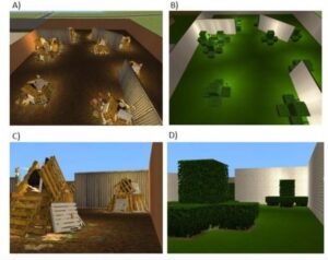 Sims virtual world