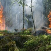 (English) A new prototype wildland fire shelters
