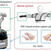 Expanding Human Potential: Haptic Body Extension with Dual Mobile Manipulators